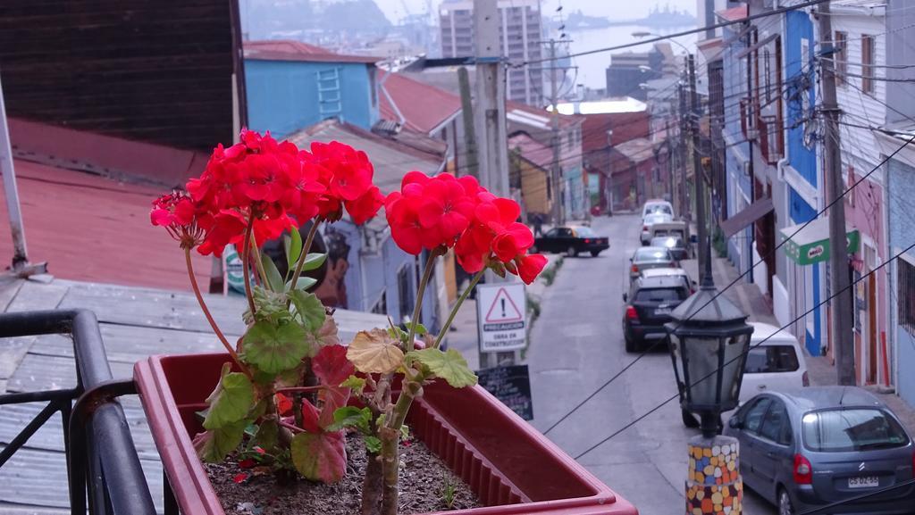 Hostal Destino Bellavista Valparaíso Zewnętrze zdjęcie